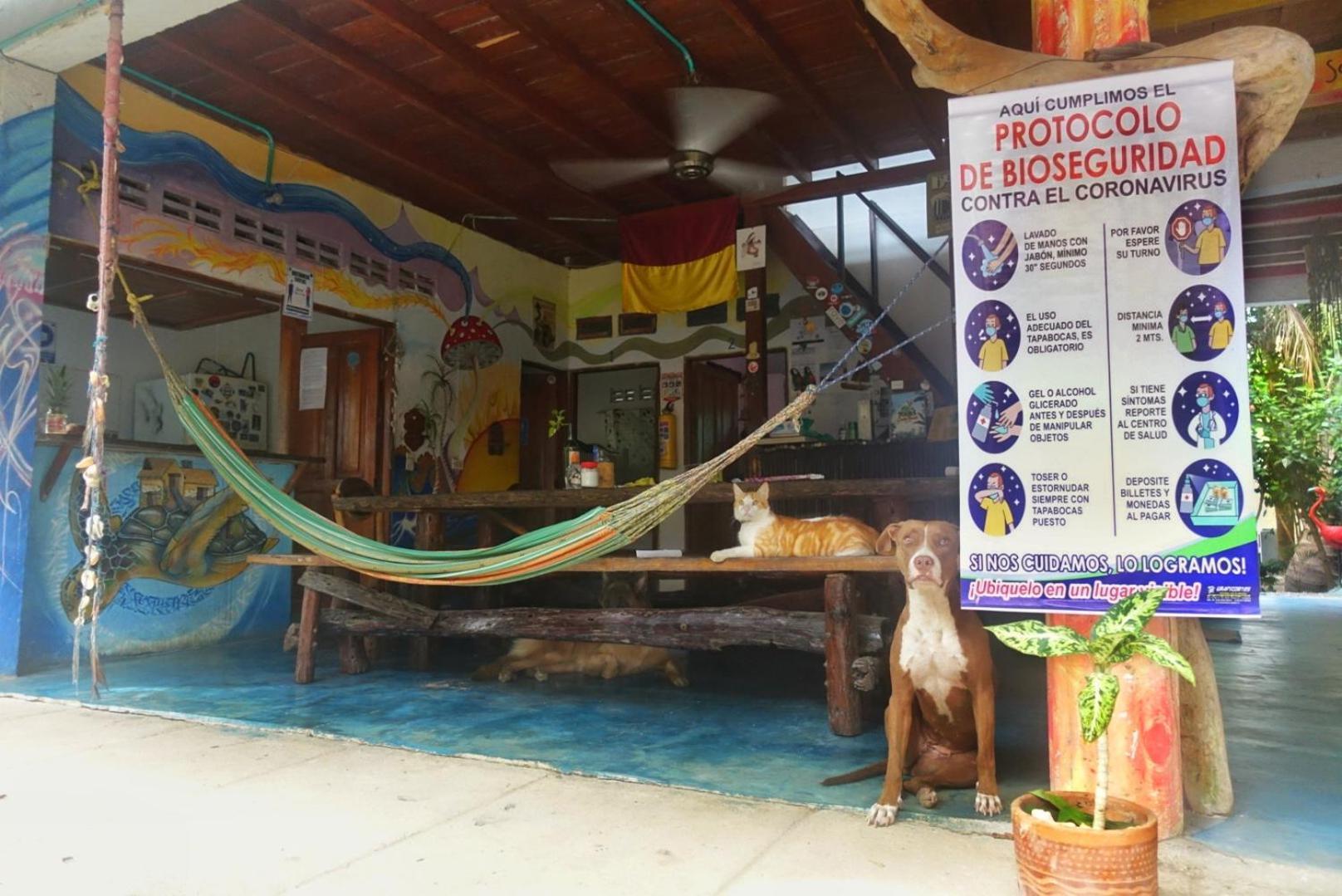 Casa Surf Mar Azul Hotel Palomino Bagian luar foto