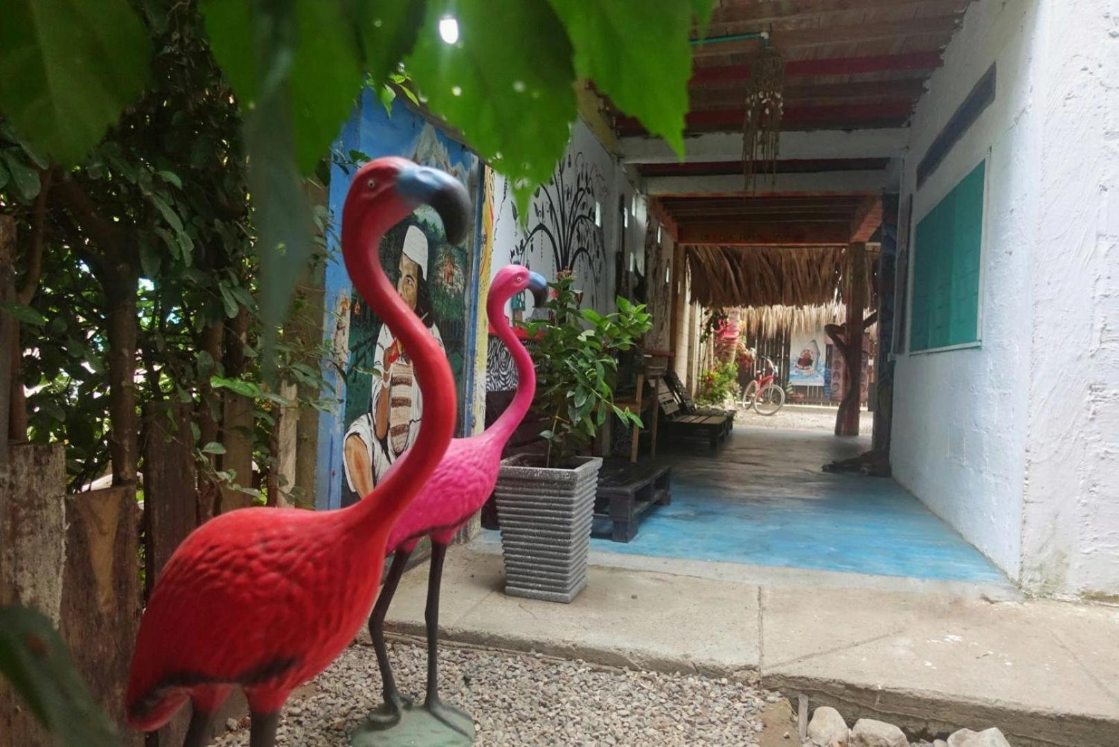 Casa Surf Mar Azul Hotel Palomino Bagian luar foto